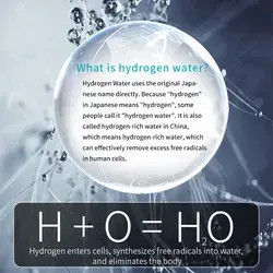 Rich Hydrogen water machine Alkaline Water Purifier ro water dispenser VST-T2HP