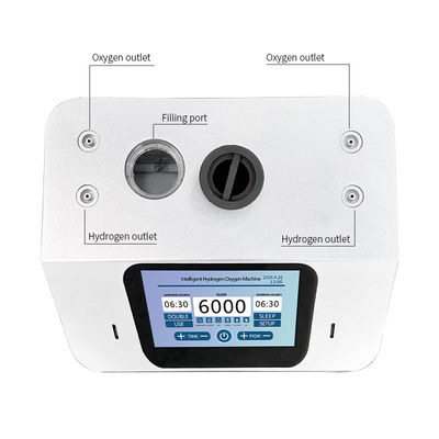 Anti Oxidant 99.99% Purity Hydrogen Inhalation Therapy Machine 6000ml/min for Body Functions